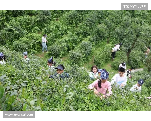 莫干山行：倒计时，德清赛区即将揭幕，绿意与挑战并行