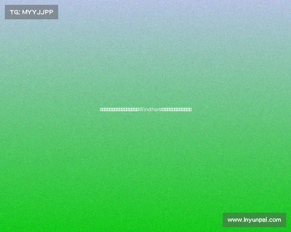 詹姆斯与欧文曾经的默契难再重现，Windhorst分析二人未来合作几乎无望